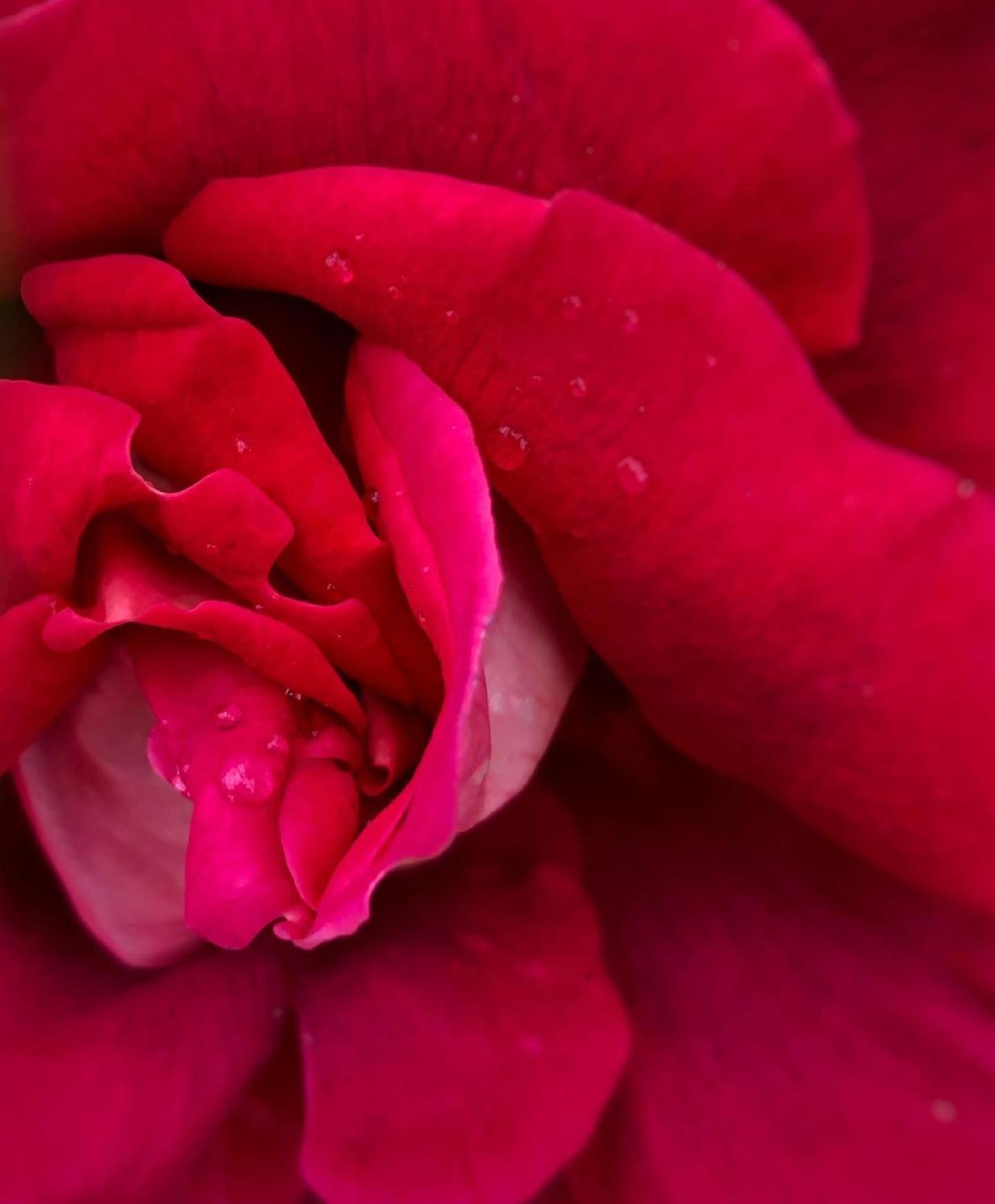 فندق Il Rifugio Delle Rose رونسيجليونى المظهر الخارجي الصورة