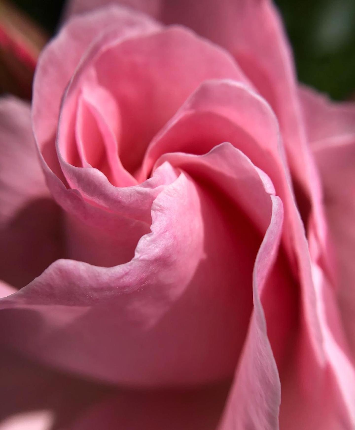 فندق Il Rifugio Delle Rose رونسيجليونى المظهر الخارجي الصورة